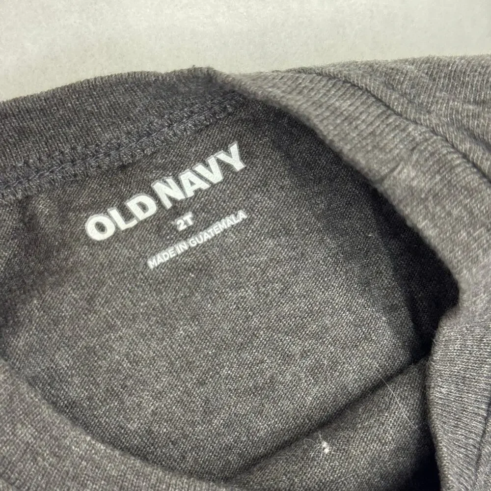 Old Navy Gray Dancing Dinosaurs Long Sleeve Tee Shirt Size 2T